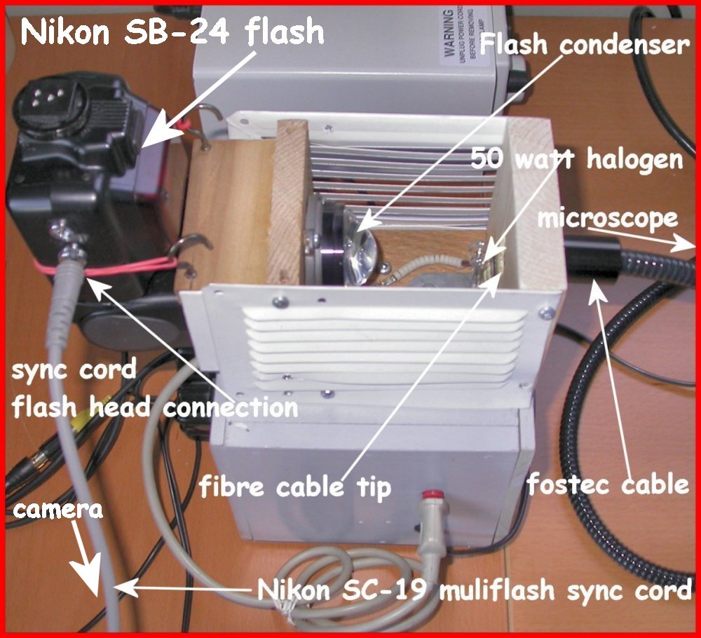 System