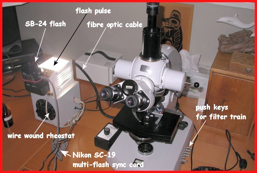 Scope and flash box