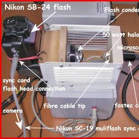 [Click to enlarge image]