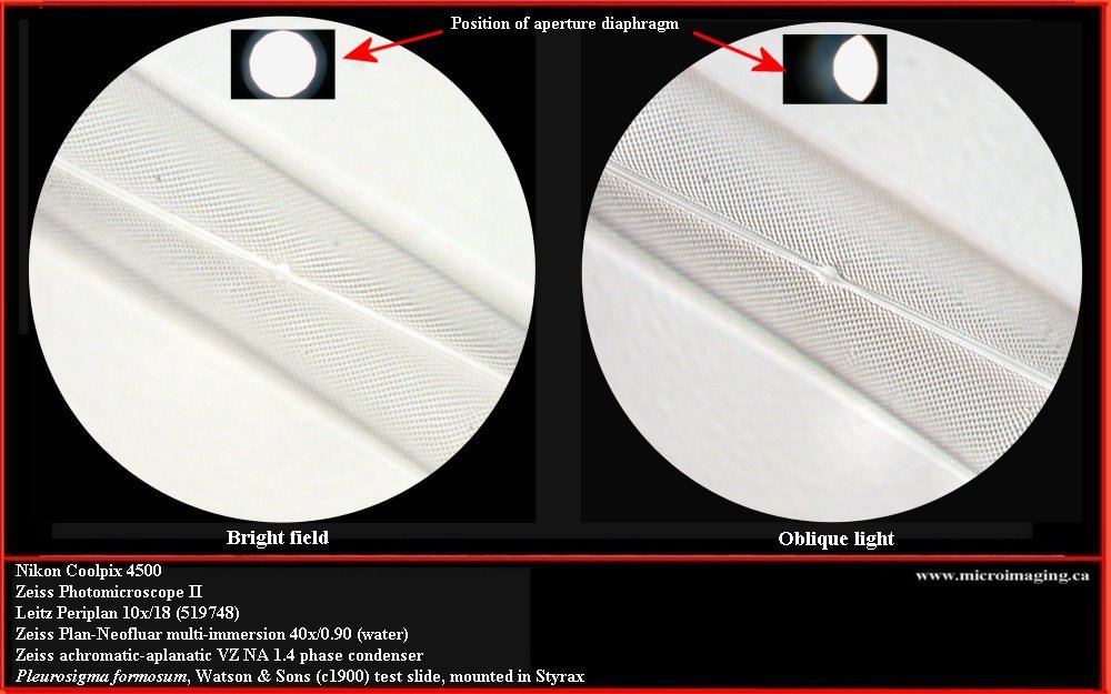 brightfield - oblique light