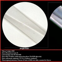 [Click to enlarge image]