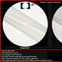 [Click to enlarge image]