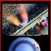 [Click to enlarge image]