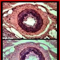 [Click to enlarge image]